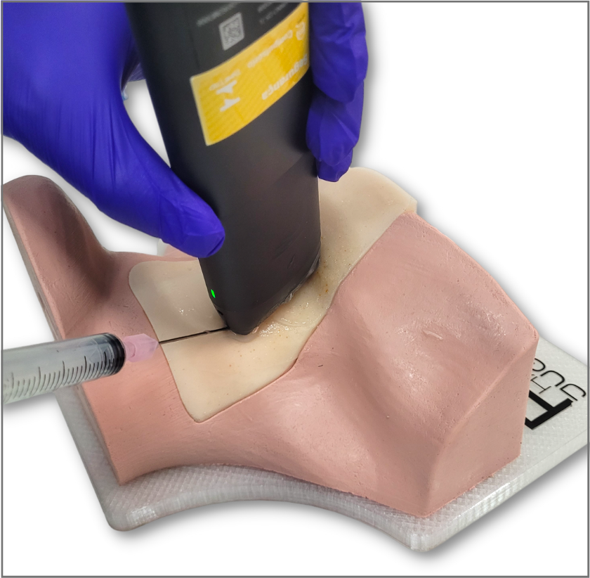 Simulador Pro Phantom Jugular