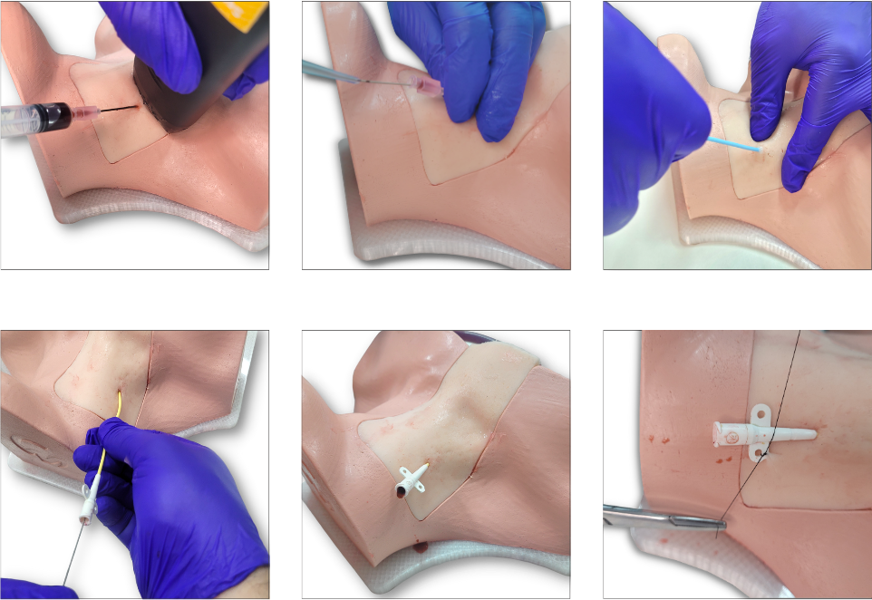 fotos do Simulador Pro Phantom Jugular